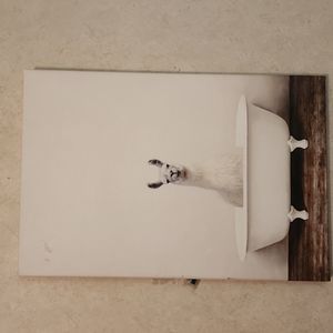 Stretched print canvas